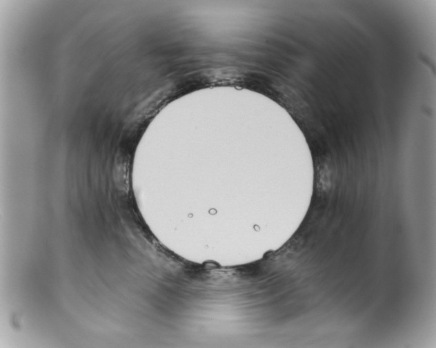 X0000098140666200805151142