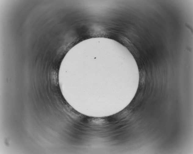 X0000098140669200805151142