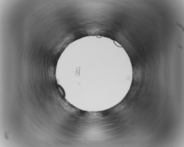 X0000098140670200805151142