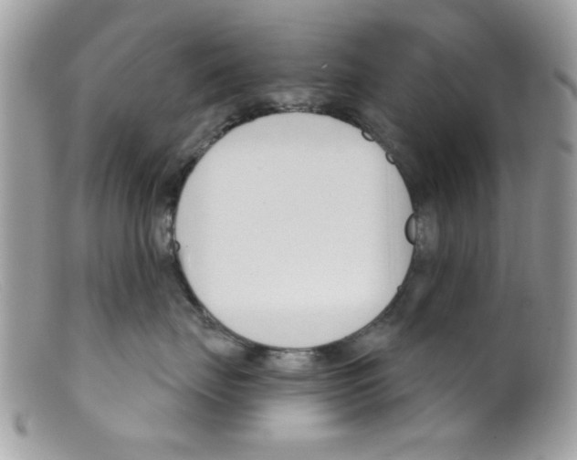 X0000098140671200805151142