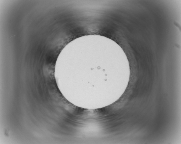 X0000098140672200805151142