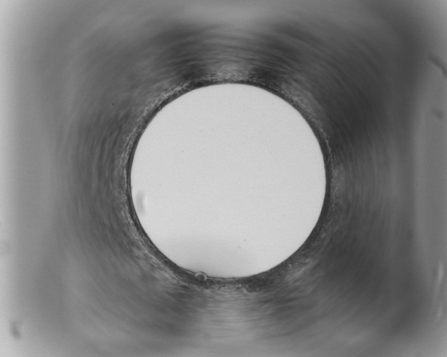 X0000098140673200805151141