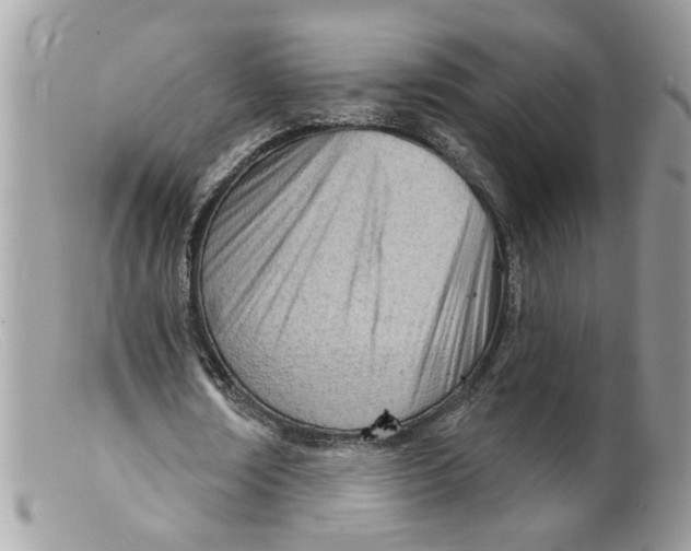 X0000098140674200805151141