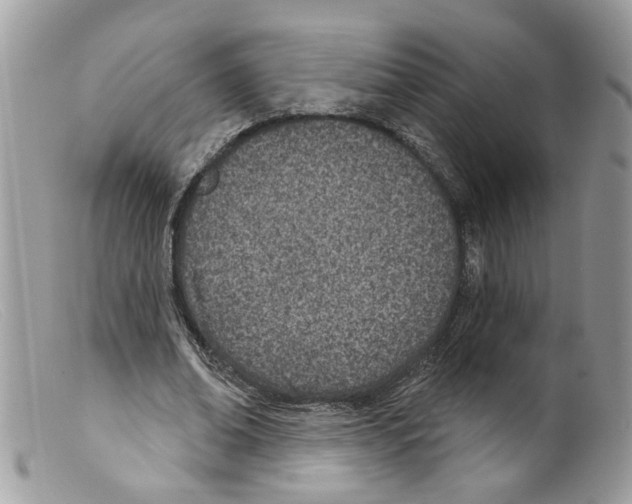 X0000098140678200805151141