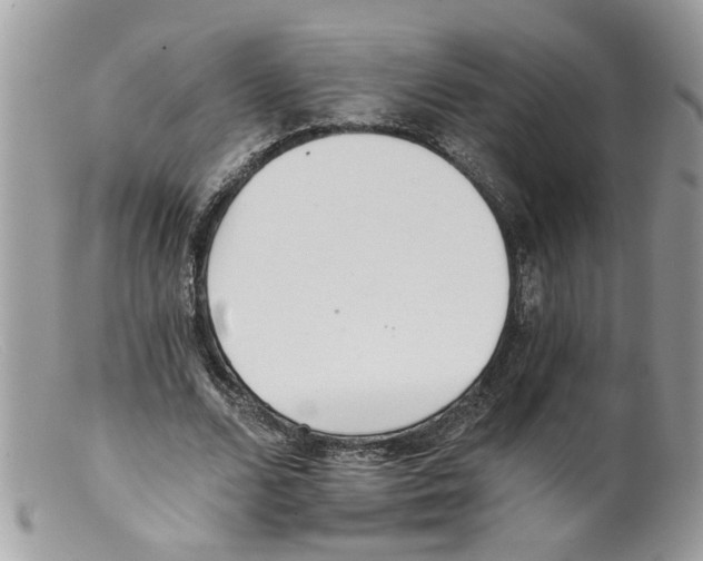 X0000098140680200805151141