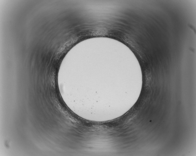 X0000098140681200805151141