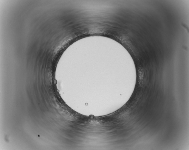 X0000098140684200805151141