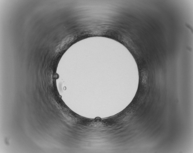 X0000098140685200805151141