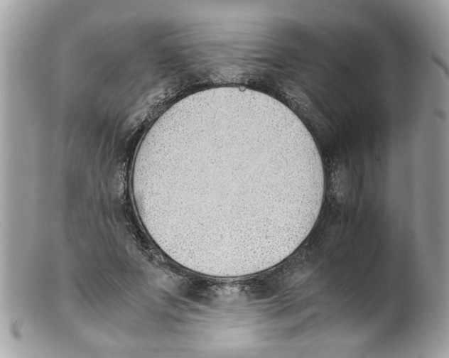 X0000098140687200805151141