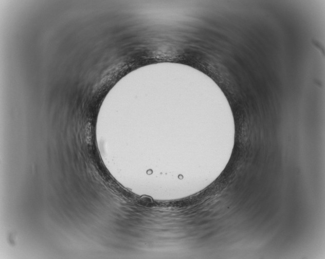 X0000098140689200805151141