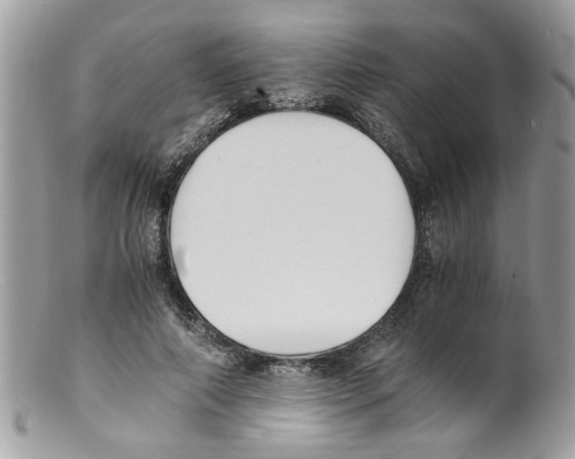 X0000098140690200805151141