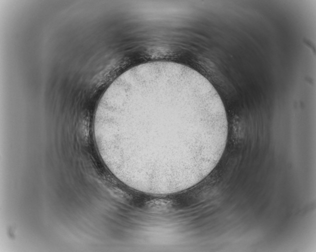 X0000098140691200805151141