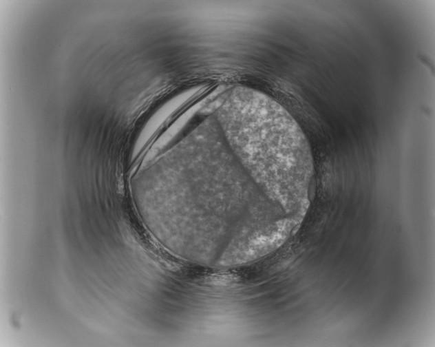 X0000098140696200805151140