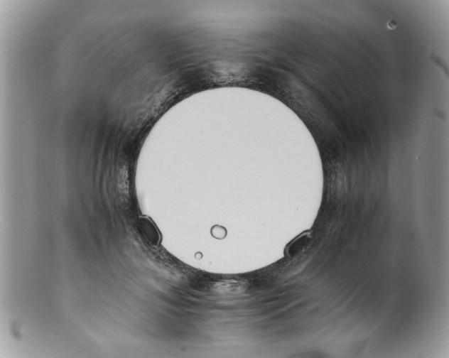 X0000098140700200805151140