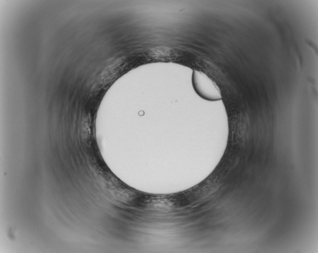 X0000098140702200805151140