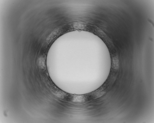 X0000098140705200805151140