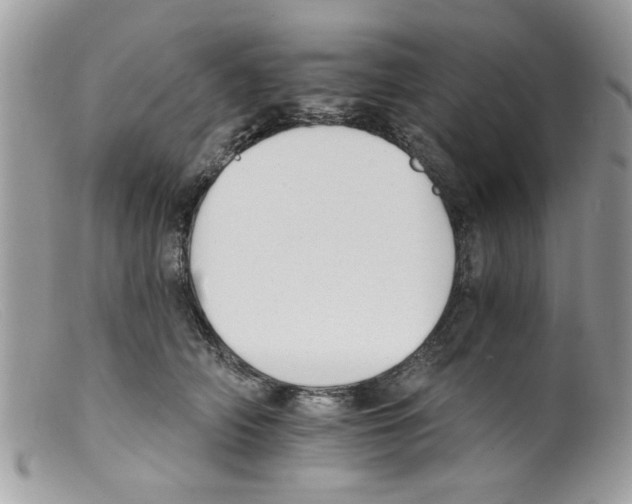 X0000098140706200805151140