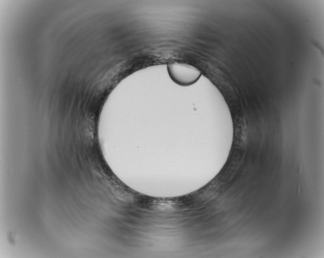 X0000098140710200805151140