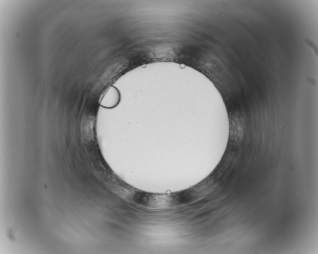 X0000098140717200805151140