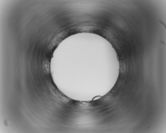 X0000098140718200805151140