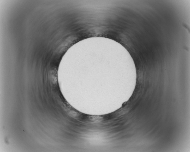 X0000098140719200805151140