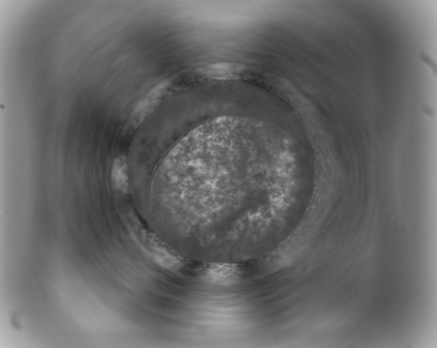 X0000098140720200805151140