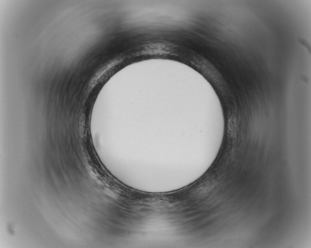 X0000098140724200805151139