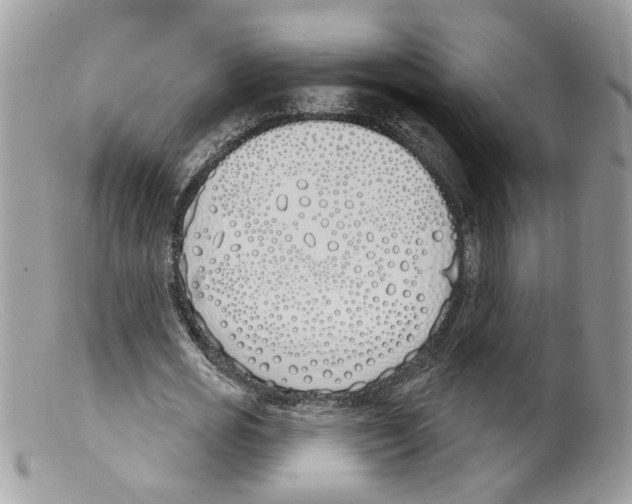 X0000098140725200805151139