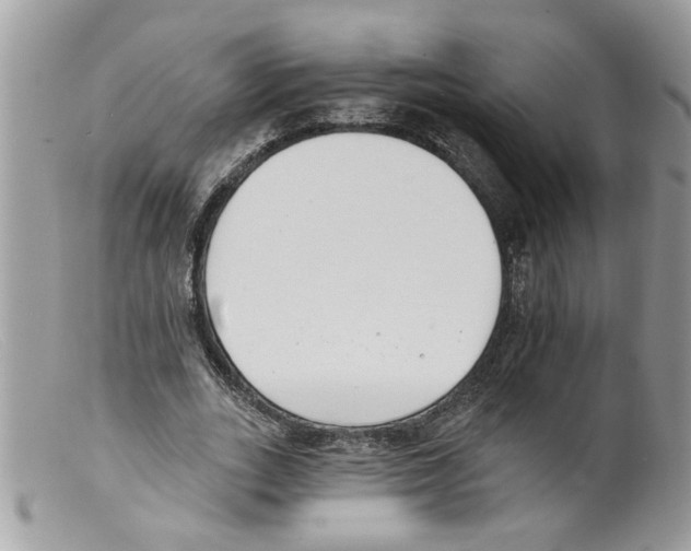 X0000098140727200805151139