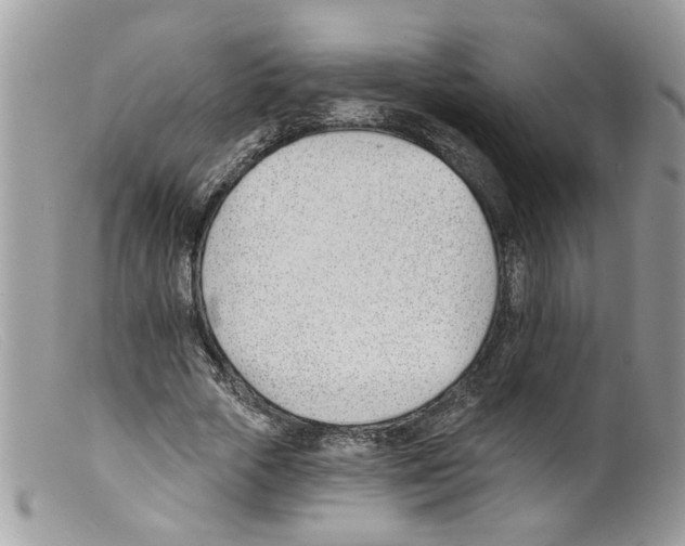 X0000098140729200805151139