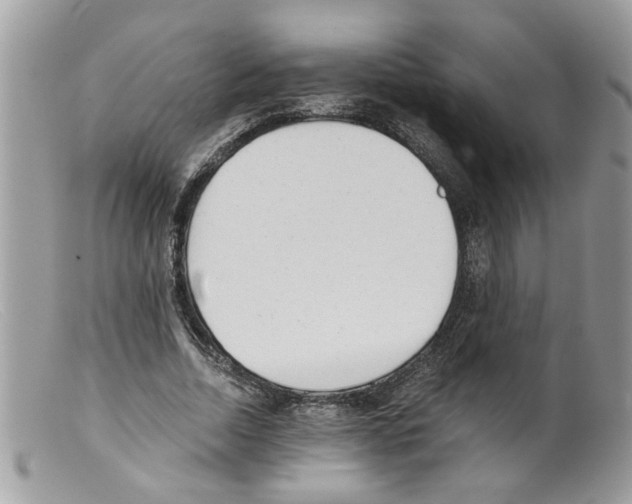 X0000098140730200805151139