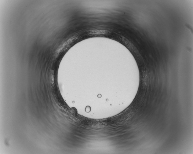 X0000098140731200805151139