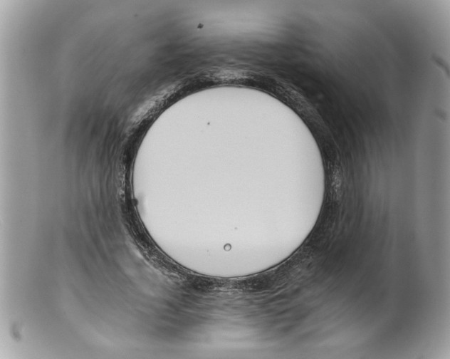 X0000098140732200805151139