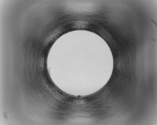 X0000098140735200805151139