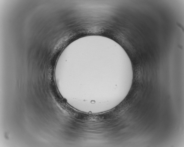 X0000098140736200805151139