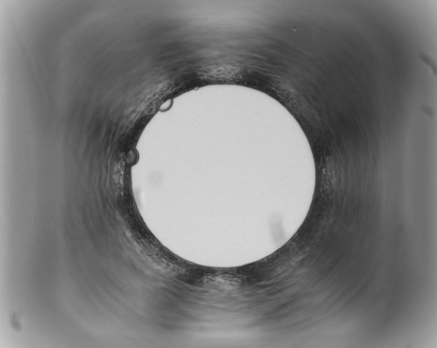 X0000098140739200805151139