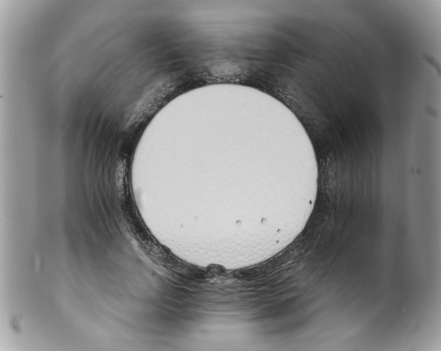 X0000098140742200805151139