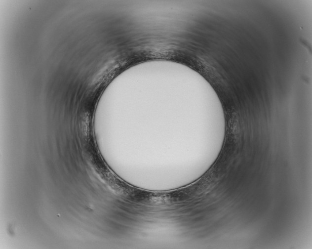 X0000098140744200805151140