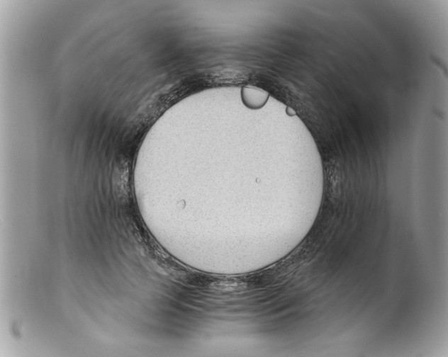 X0000098140745200805151140