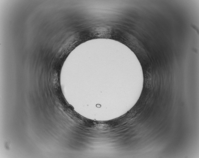 X0000098140748200805151140