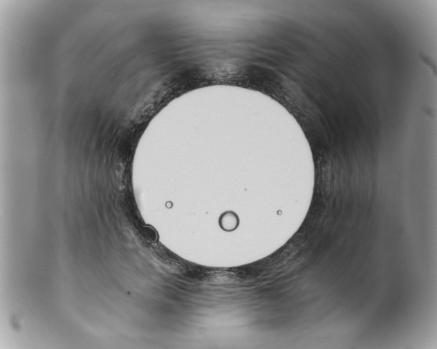 X0000098140750200805151140