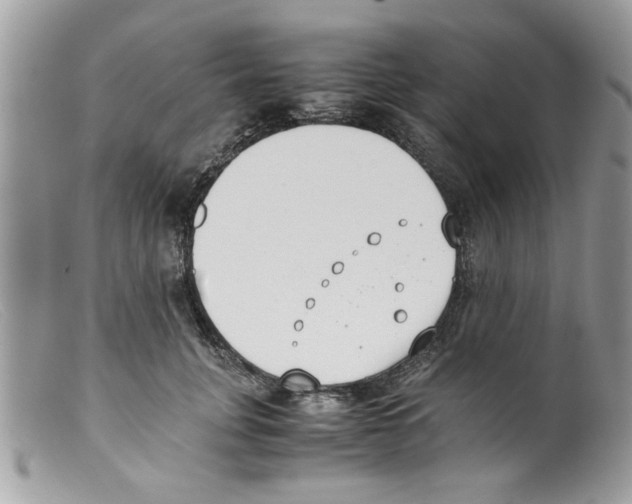 X0000098140751200805151140