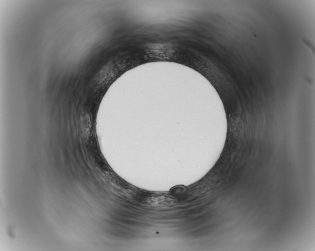 X0000098140752200805151140