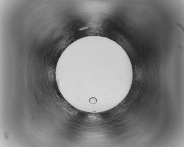 X0000098140753200805151140