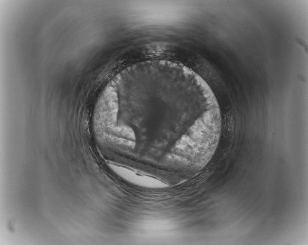 X0000098140754200805151140