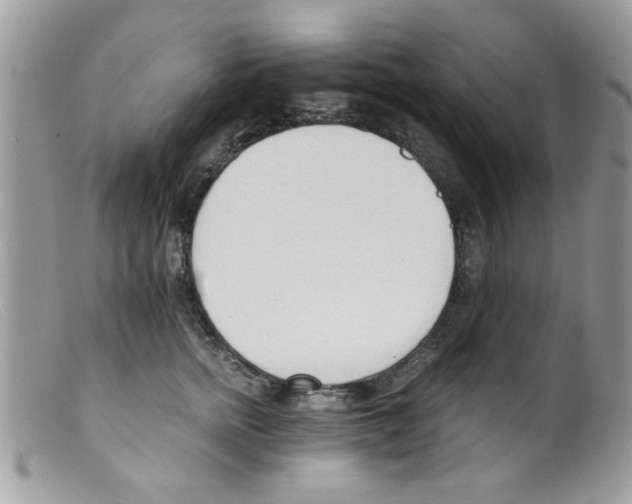 X0000098140758200805151140