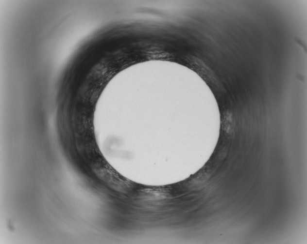 X0000098140763200805151140