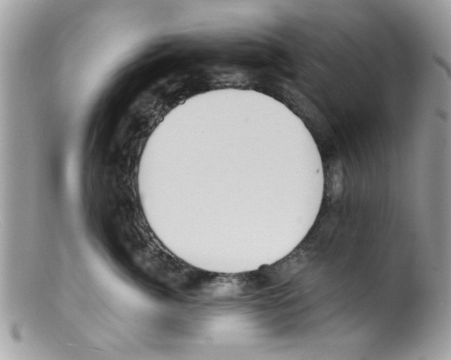 X0000098140764200805151140