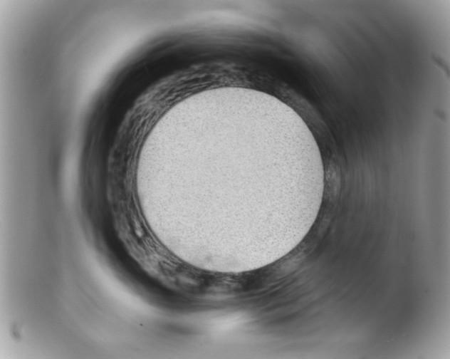 X0000098140765200805151140