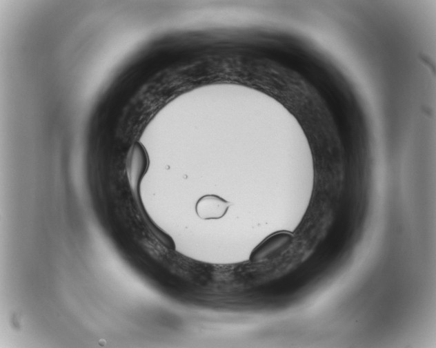 X0000098140766200805151140